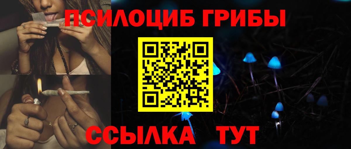Псилоцибиновые грибы прущие грибы  Вход с VPN  Избербаш  Галлюциногенные грибы GOLDEN TEACHER 